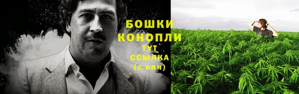 молекула духа Нея
